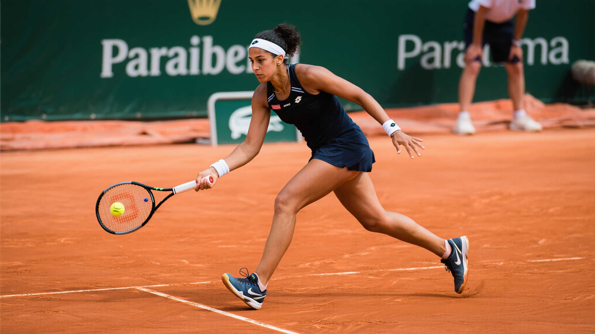 高水平的篮 高水平的篮